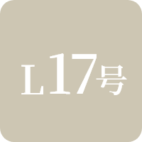 17号