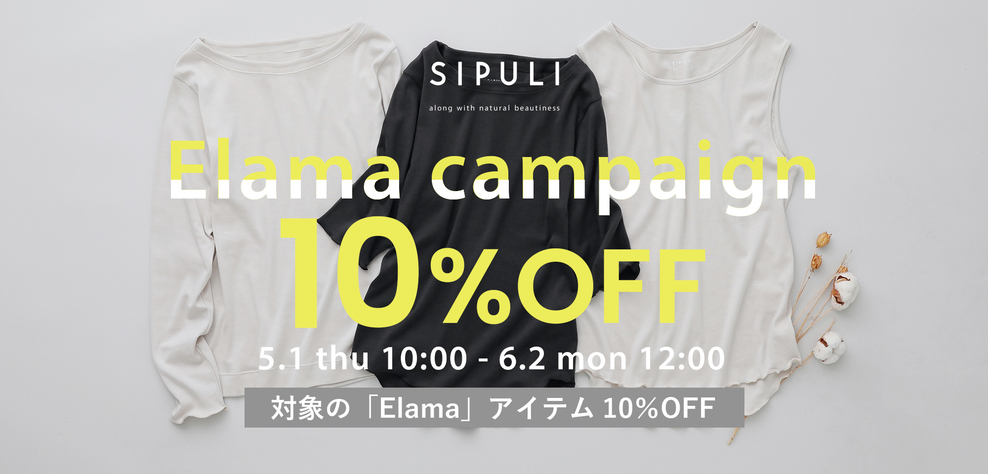 SIPULI Elama キャンペーン