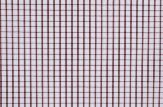 生地イメージ