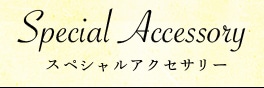 着回しコーディネートにおすすめのスペシャルアクセサリー