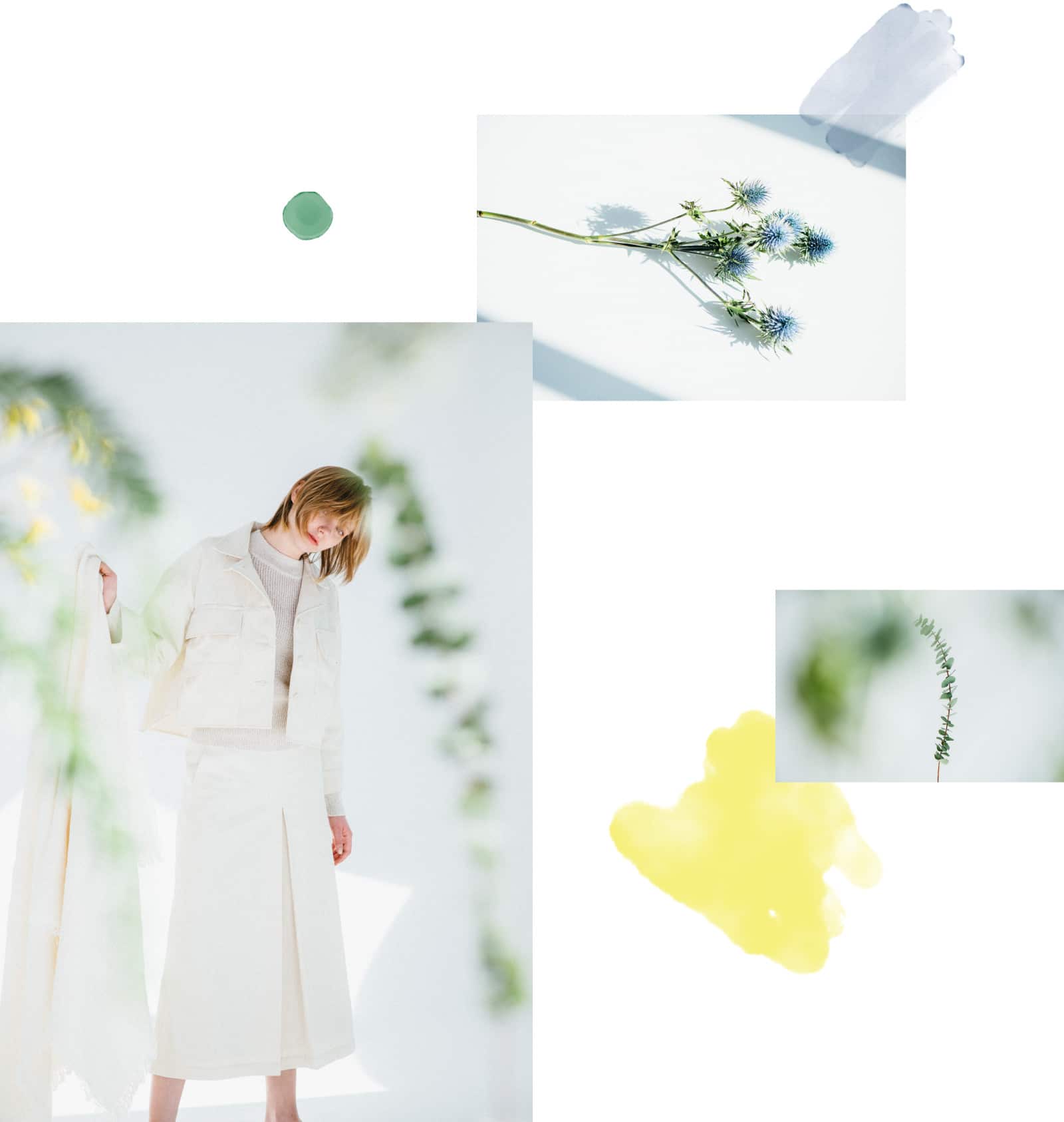 coordinate