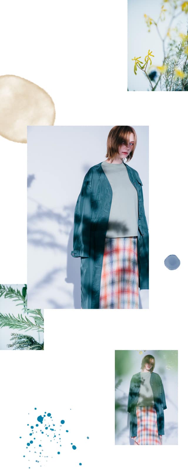 coordinate