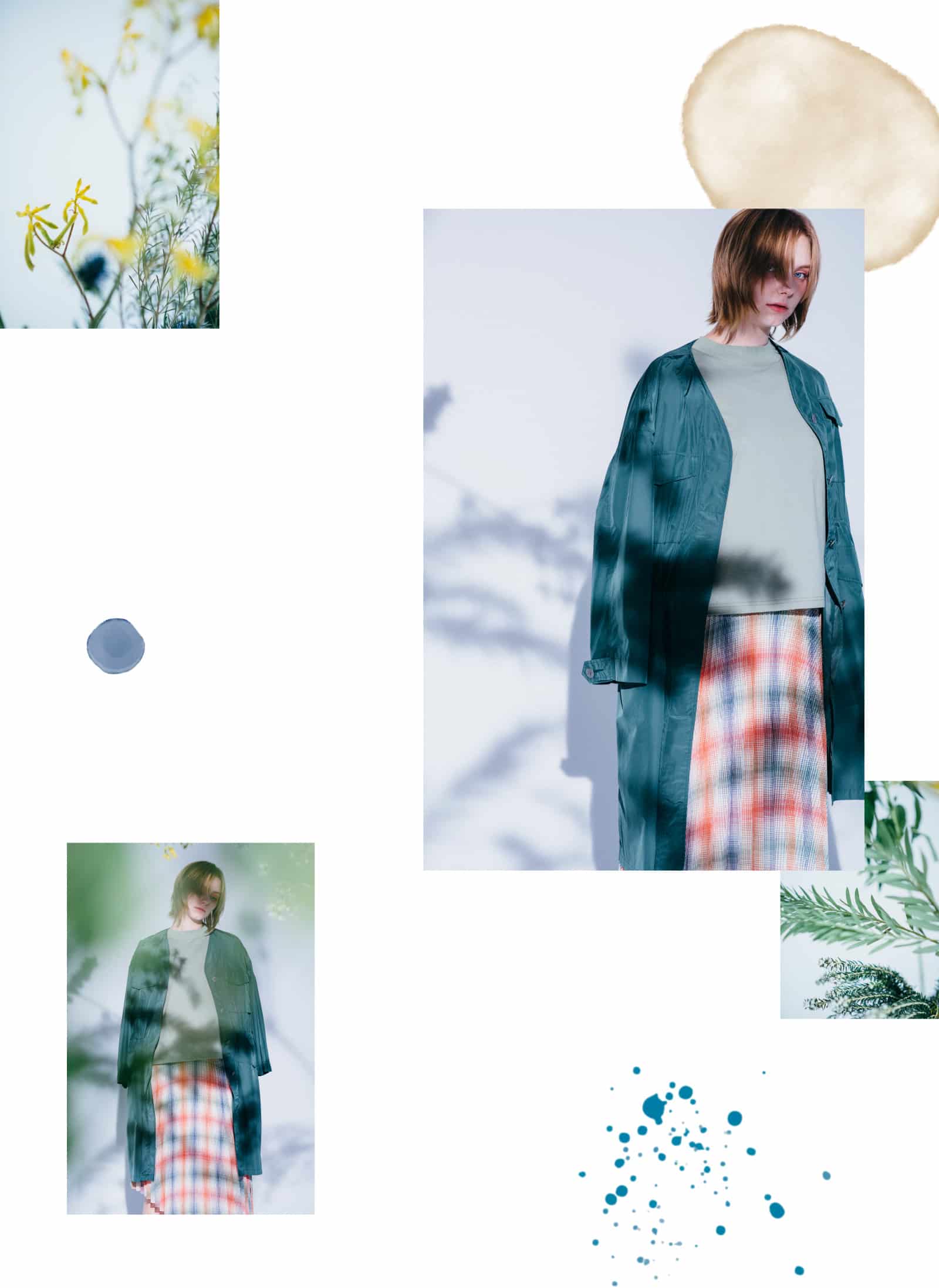 coordinate