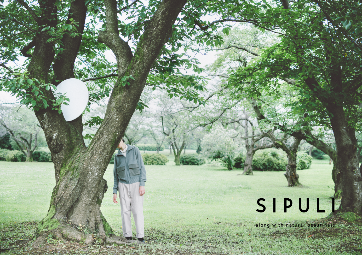 SIPULI image