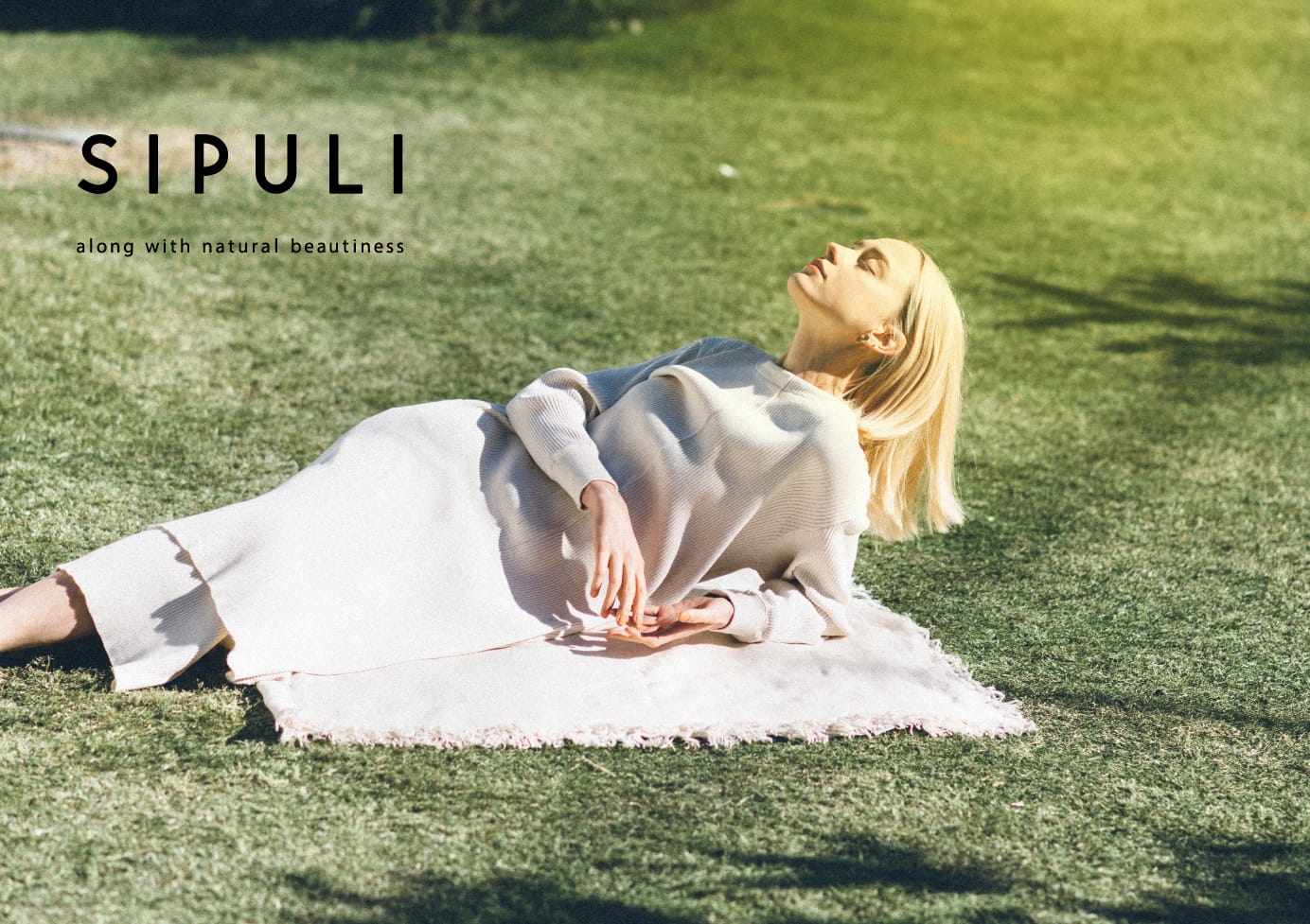 SIPULI image