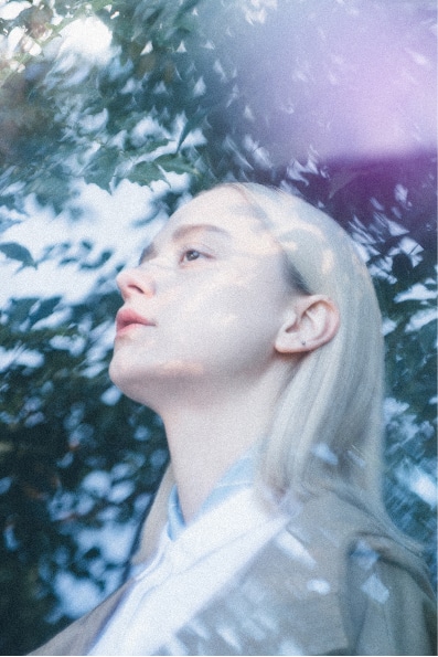SIPULI image