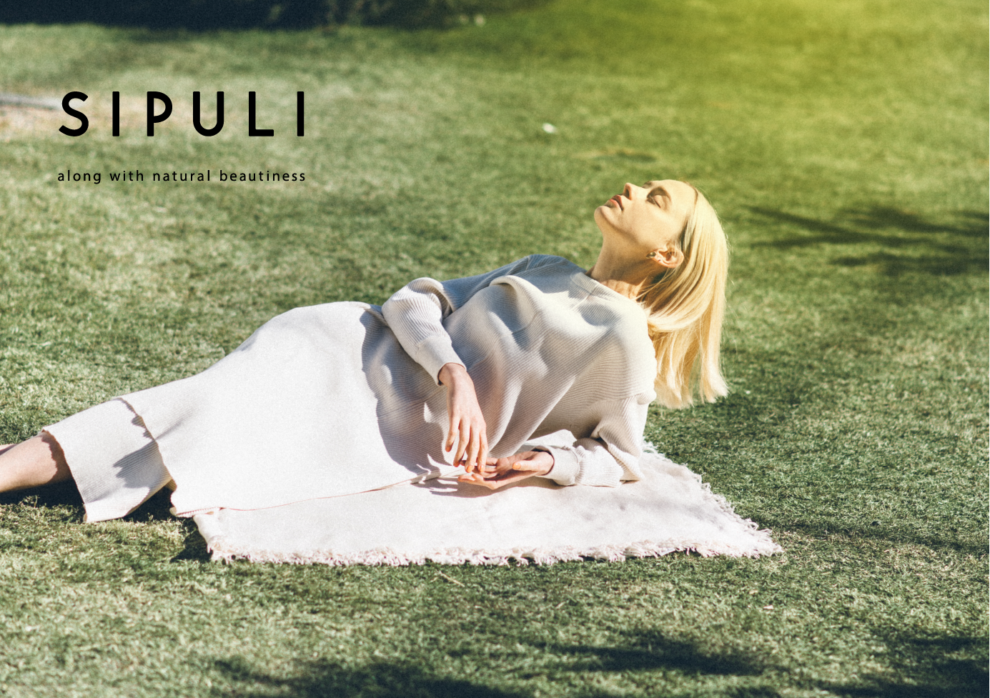 SIPULI image