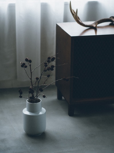 SIPULI image