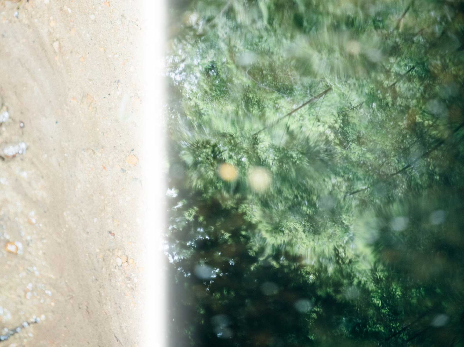 SIPULI image