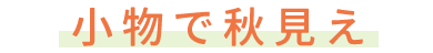 サンプル