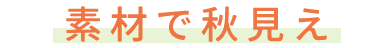 サンプル